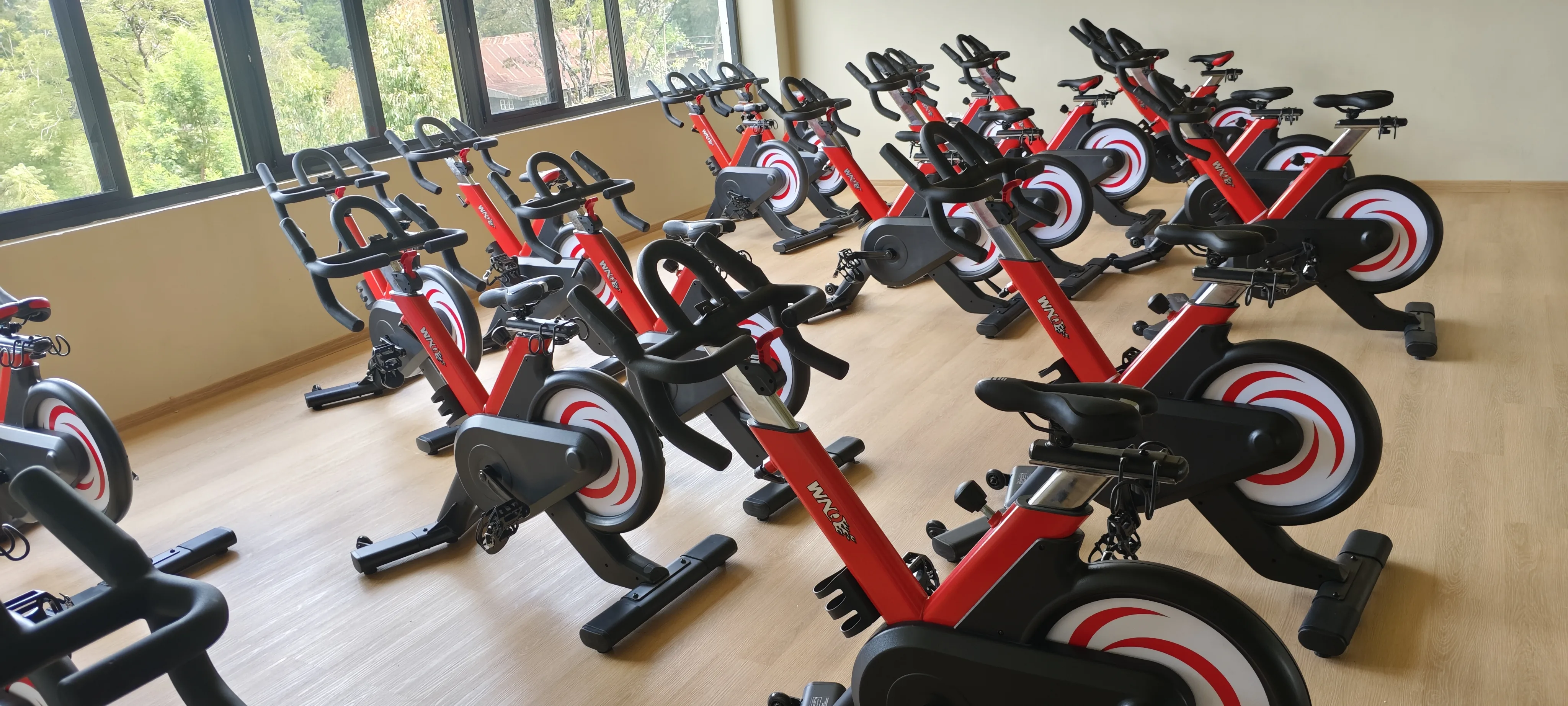 Onyx gym training area